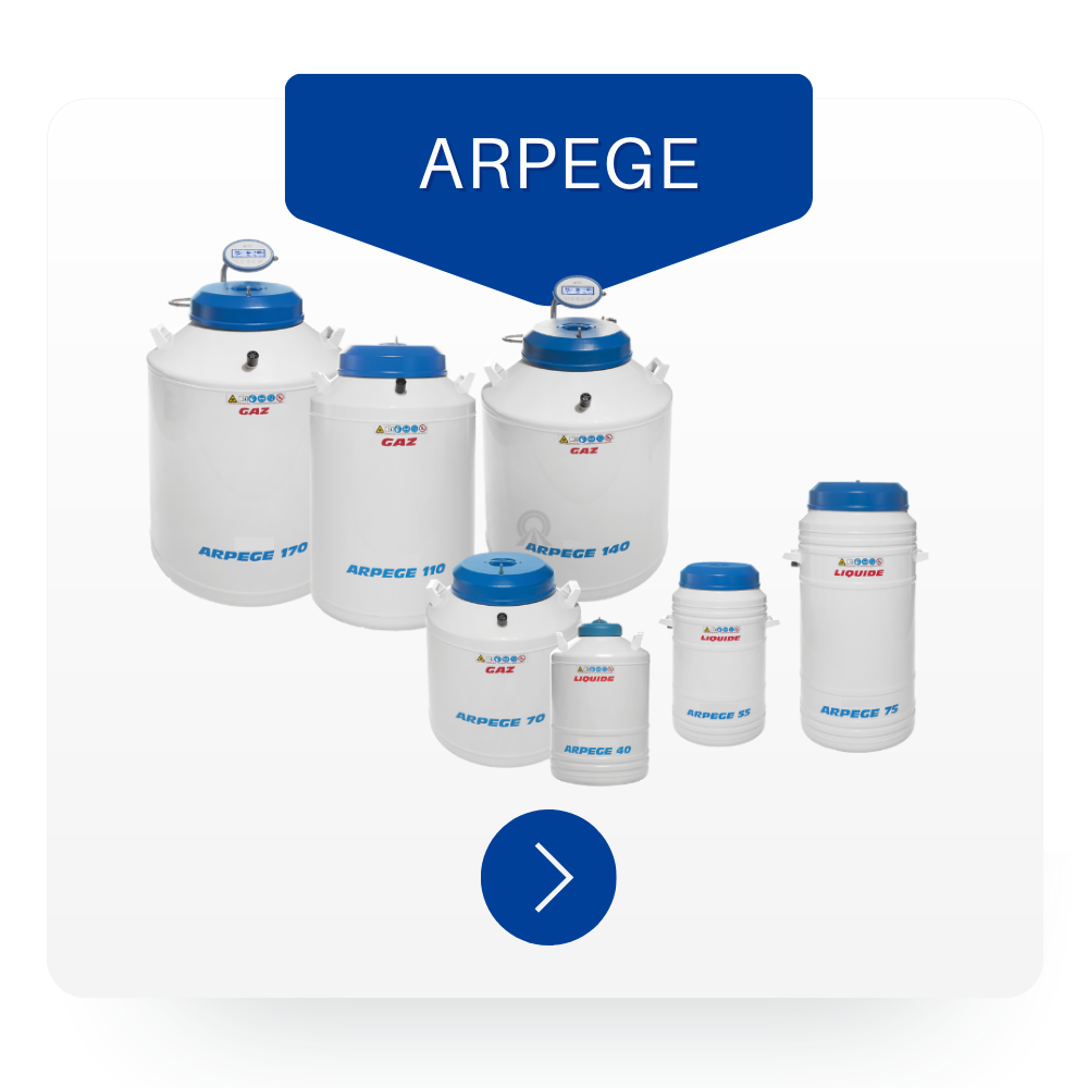 ARPEGE