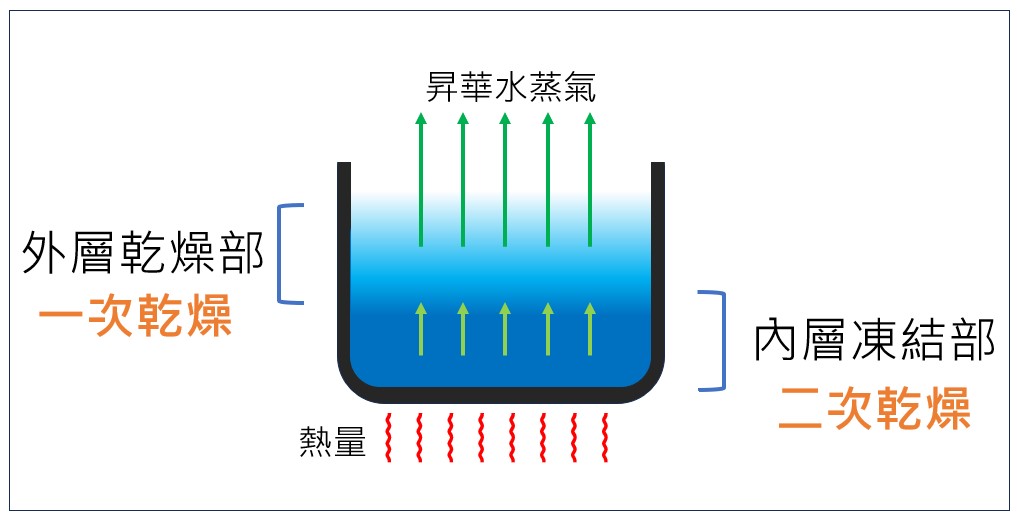 圖四、樣品乾燥過程示意圖，箭頭越長代表水分越容易昇華。