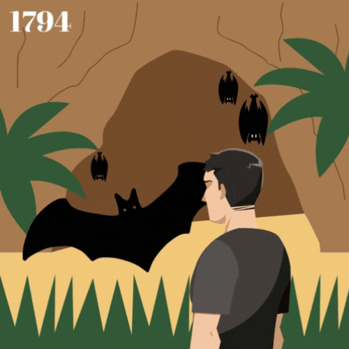 超音波破碎機-起源-由來-歷史